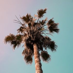 Meet your Posher, Meghan